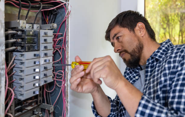 Best Local Electrician Companies  in Borrego Springs, CA